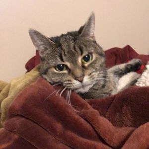 Meet your Posher, Rebekah